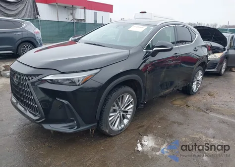 2025 Lexus Nx 350 Premium z USA, uszkodzony, nr VIN 2T2GGCEZ7SC075592